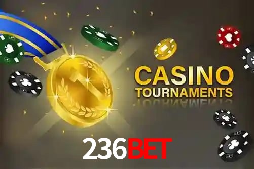 Comparação detalhada APP 236bet vs versão web